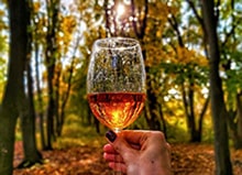 秋の夜長に熟成ワイン