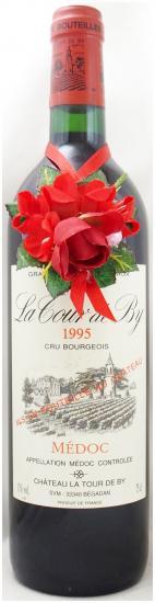 1995年 シャトー ラ トゥール ド ビィ CHATEAU LA TOUR DE BY